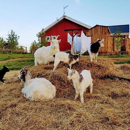 Skalatjoern Guesthouse Skalatjorn ภายนอก รูปภาพ