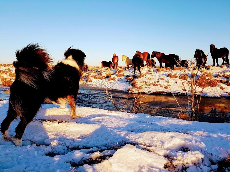 Skalatjoern Guesthouse Skalatjorn ภายนอก รูปภาพ