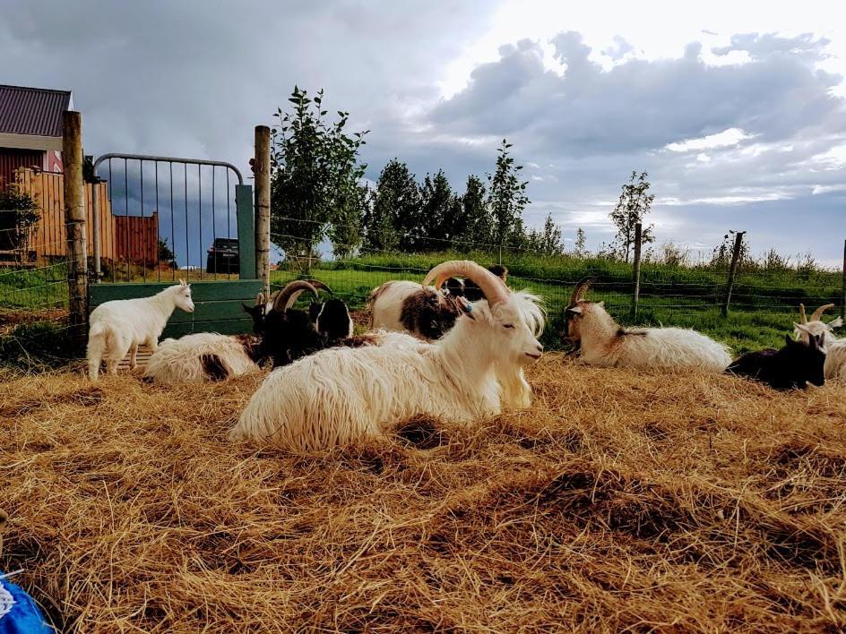 Skalatjoern Guesthouse Skalatjorn ภายนอก รูปภาพ